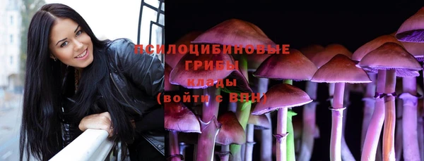 спайс Богородск